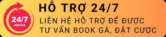 Hổ trợ xem đá gà Trường Gà LakSao